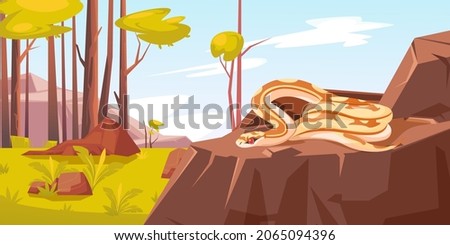 Snake in forest, python with red eyes and beige body with brown spots lying on stone relaxing at sunny day in wood with green trees. Wild reptile summer lifestyle, Cartoon vector illustration