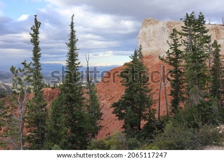 A scenic view of trees among rugged layered rock landscape in Bryce Canyon National Park, USA
