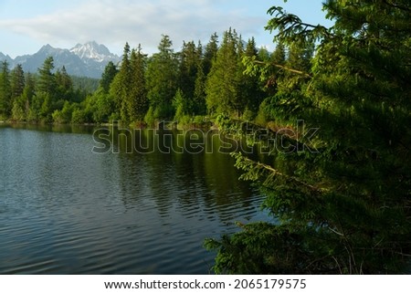 Lake and coniferous forests and big mountains in the background.