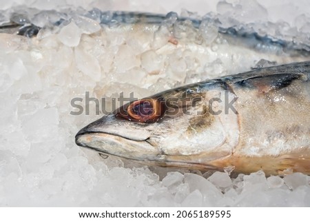 Fresh fish on ice display in a supermarket.