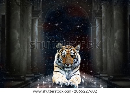 New Year’s card starry background with tiger lying on the road with burning candles under the castle arch