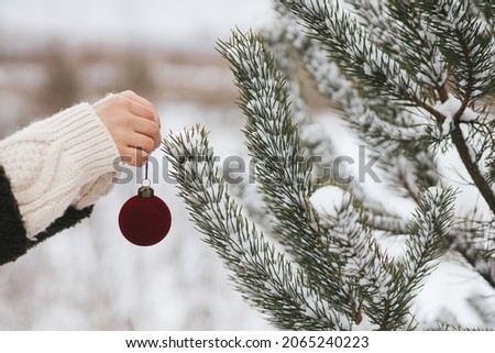 Hand decorating pine tree branches with modern red bauble. Decorating christmas tree in snow outdoors. Preparation for winter holidays in countryside. Merry Christmas! Space for text