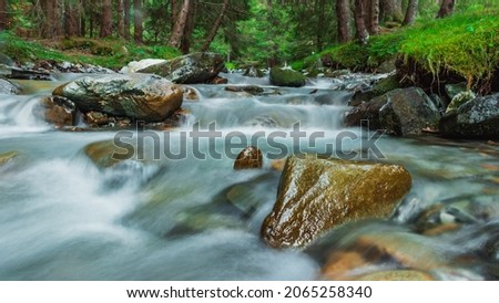 A beautiful view of a river in a forest with many rocks