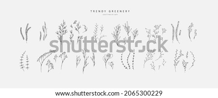 Floral branch. Hand drawn wedding herb, homeplant with elegant leaves for invitation save the date card design. Botanical rustic Royalty-Free Stock Photo #2065300229