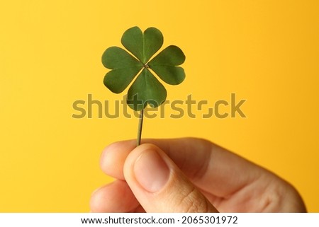 Woman holding green four leaf clover on yellow background, closeup