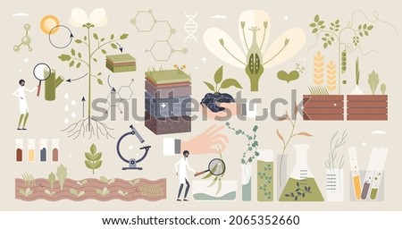 Plant biology with scientific organic research tiny person collection set. Elements with nature sprouts, crops, flowers and seeds GMO modification or laboratory structure research vector illustration. Royalty-Free Stock Photo #2065352660