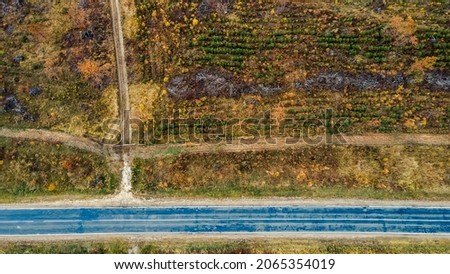 Aerial top down view of countryside asphalt road at autumn. Autumn colors. Nature. Paved road between autumn field.