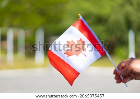 Female hand holding canadian flag to celebrate a canada day holiday