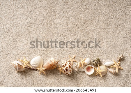 Shellfish On The Sand