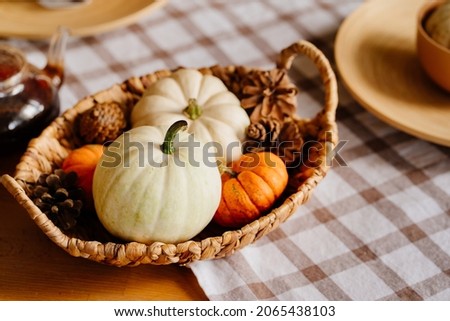 basket with small decorative white and orange pumpkins and cones. autumn decor for Halloween. harvest of vegetables from the farm.