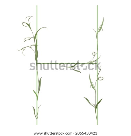 Beautiful letter H with green branches. Floral font. Artistic alphabet with botanical motifs. Isolated vector illustration.