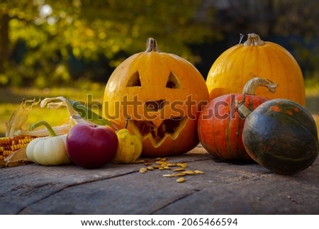 Autumn pumpkins with green garden background pattern