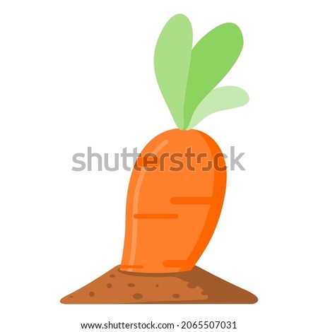Carrot vegetable growing on soil flat vector design.