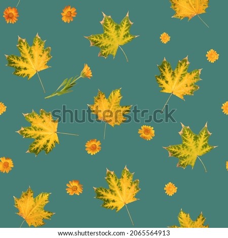 Seamless texture from photos of autumn maple leaves