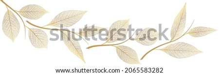 Beautiful background with leaves vein. Vector illustration. Royalty-Free Stock Photo #2065583282