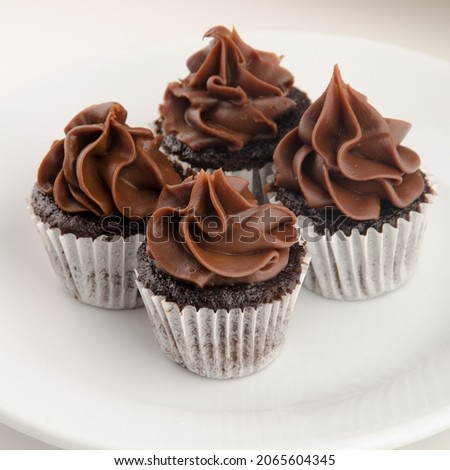 deliciuos and pretty miniature cupcakes with chocolate topping