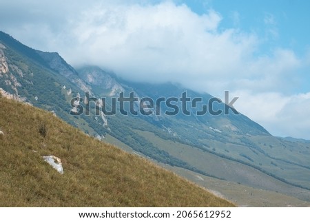 mountain landscape, forest on the slope and rocks in the clouds, evening in the highlands, summer