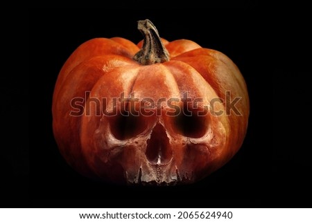 Halloween pumpkin skull on dark background