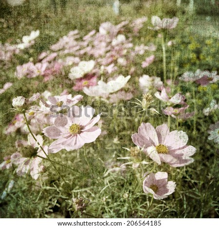 Vintage flower background picture style
