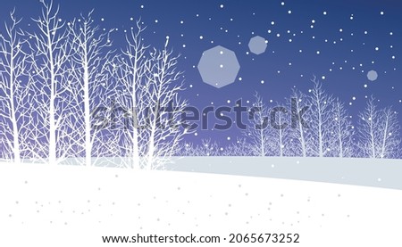 Snowy winter night trees and flat land, winter landscape illustration