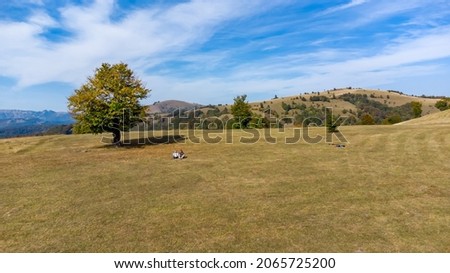 A person with a disability, with his right prosthetic arm sitting with a friend on top of a beautiful hill  Activity, active life, hiking, aerial shot