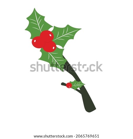 vector holly Christmas berries in flat graphics and on a white background , holly years Christmas illustration
