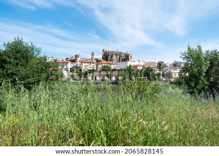 A meadow full of green herbs during spring and in the background the city of Plasencia with its cathedral