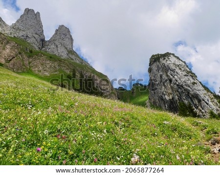 Beautiful flower meadow in the Swiss Alps. Appenzell, Switzerland.