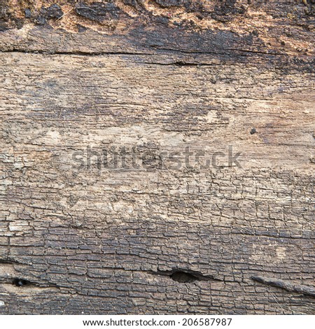 wood textures 