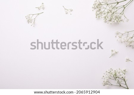 Beautiful gypsophila flowers on white background, flat lay. Space for text Royalty-Free Stock Photo #2065912904