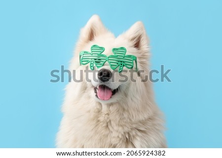 Cute dog with party glasses on color background. St. Patrick's Day celebration