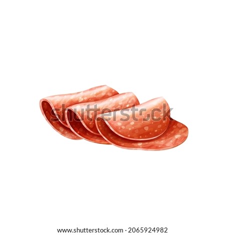 Flying slices of salami sausage isolated on white background. Meat delicatessen product. Vector gastronomic illustration in cartoon style Royalty-Free Stock Photo #2065924982