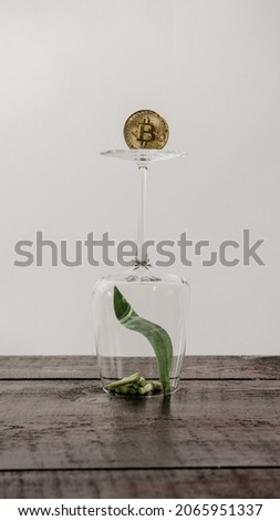 still life tulip vase and glass, toy, coin bitcoin