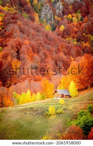 Autumn in Buila Vanturarita National Park, Carpathian Mountains, Romania. Patrunsa hermitage surrounded by vivid fall colors of the forest.