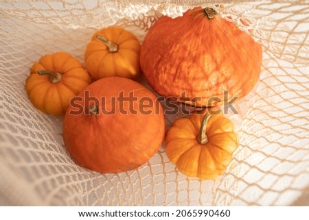 Pumpkins in a string bag on a white table.