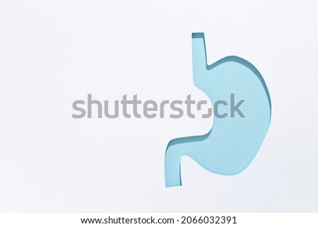 Picture of a human stomach made from paper. Concept of therapy, healthcare and medical treatment. Copy space, top view. High quality photo