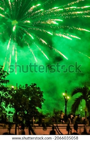 people celebrate new year. fireworks at night. the sky turned green. copy space for people celebrate new year. fireworks at night. the sky turned green, for greeting cards and background.