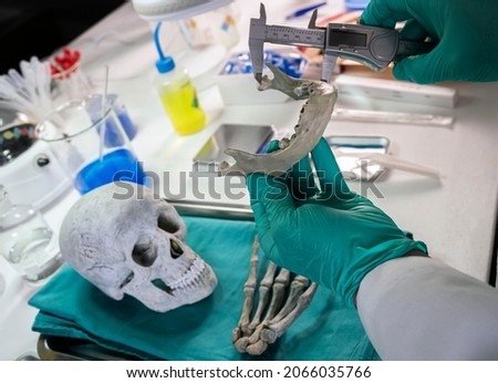 Forensic police measure the lower jaw of a cadaver during a murder investigation in a forensic laboratory, conceptual image. Royalty-Free Stock Photo #2066035766