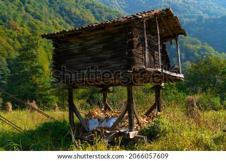 Wooden house on poles in the forest