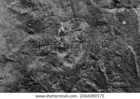 Black and white photo of old concrete wall with a lot of crackles for texture and background concept
