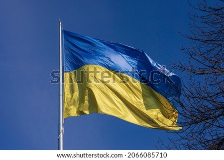 State blue and yellow flag of Ukraine in the park on a flagpole against the sky