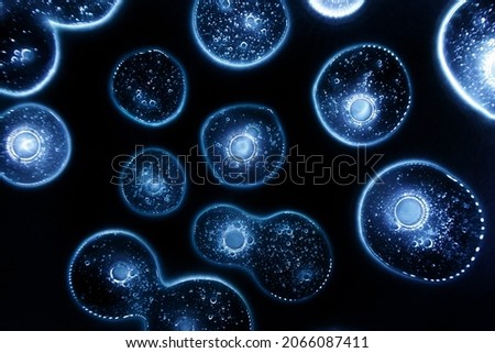 Cosmetic hydrating product or ingredient concept. Glowing blue drops of transparent liquid on a black background. Drops gel or oil close up. Abstract dark backdrop. Royalty-Free Stock Photo #2066087411