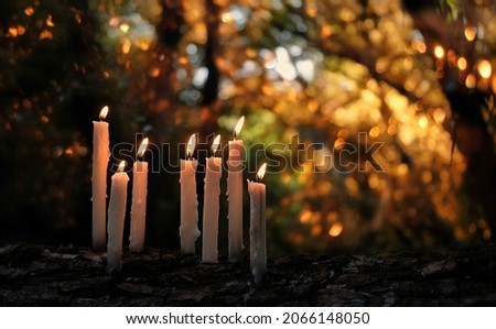 burning magic candles in mystery dark forest, abstract natural background. fairy scene. witchcraft ritual. Autumn season. Mabon, Samhain sabbat, Halloween holiday concept Royalty-Free Stock Photo #2066148050