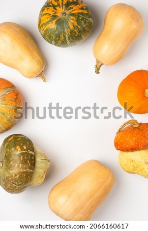 Several ripe orange and green pumpkins on a white background pattern