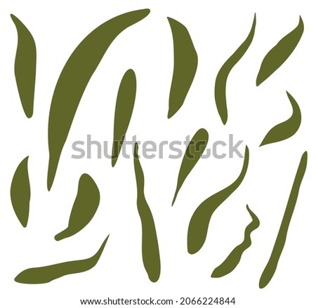 Set of hand-drawn leaves of different shapes, sizes. Hand drawn botanical flat clip-art. Simple vector illustration in organic style. Summer  green leaves for outdoor floral backgrounds.