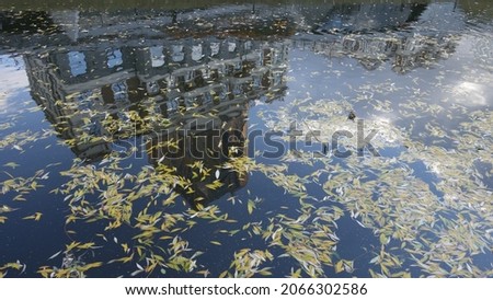 yellow autumn leaves and the reflection of the house in the river water