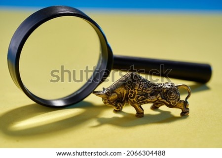 icon of bull market of stock exchange with magnifying glass