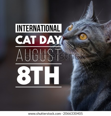 International Cat Day, August 8th