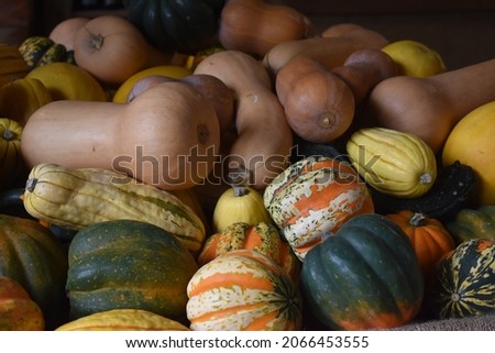 colorful shot of a pile of squash.