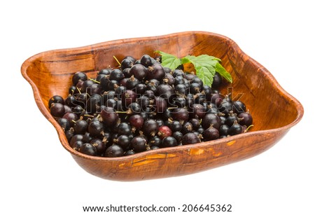 Black currant with green leaf